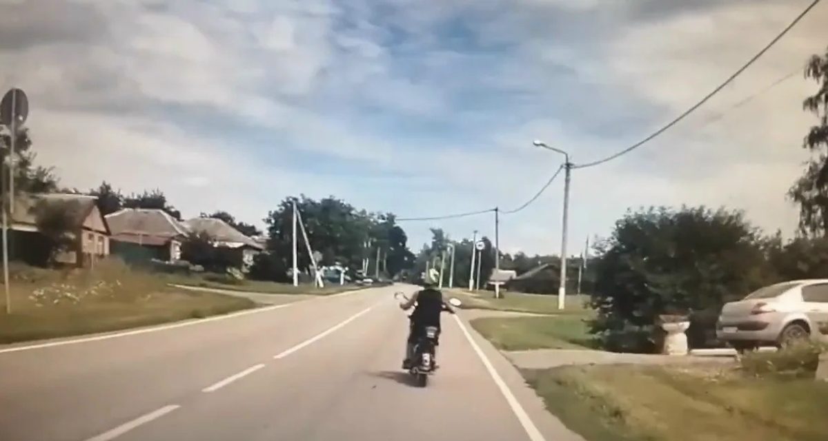 Жительница Чернянского округа попыталась дать взятку инспектору ДПС и стала фигуранткой уголовного дела